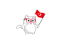 Celebration Ataturk Sticker by Tambu Klavye