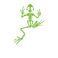 Navy Seals Obstacle Course Race Sticker by BoneFrog Challenge