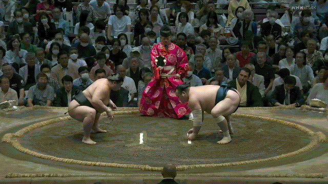 TZ85 giphyupload sumo 2023 aki basho shodai GIF