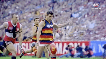 GIF by AFL
