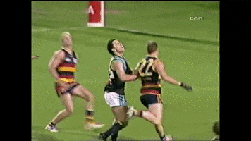 Afl Memories GIF by Adelaide Crows