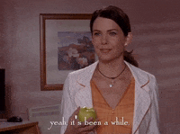 season 5 netflix GIF by Gilmore Girls 
