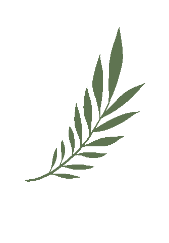 Leaf Sticker