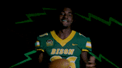 King Bison GIF by NDSU Athletics