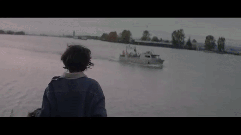 pup GIF by Pitchfork