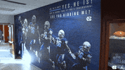 Brand Jordan GIF by Carolina Football
