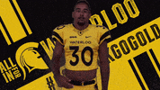wloowarriors uwaterloo university of waterloo waterloo warriors goblackgogold GIF