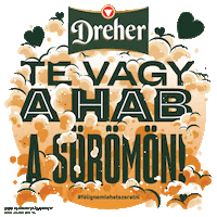 Dreherbeer valentinesday dreher valentinnap drehersör Sticker