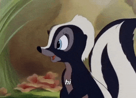 AchieveOnline cute hi bambi cute skunk GIF