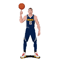 Nba Playoffs Basketball Sticker by Panini America
