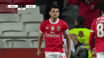 Sl Benfica Hug GIF by Sport Lisboa e Benfica
