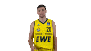 Ewe Baskets Basketball Sticker by EWE Baskets Oldenburg