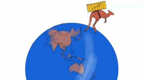 asiasocietyaustralia roccofazzari GIF