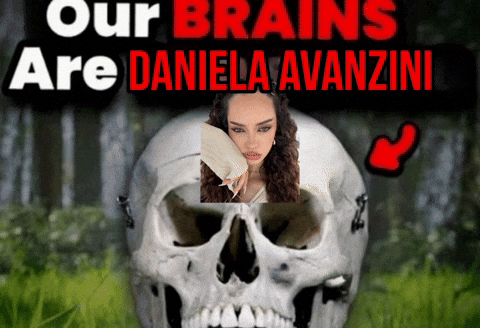 Dani Stan Twitter GIF