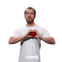 Valentines Day Thank You Sticker by SWR3