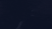 yaz tlktv GIF