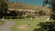 South America Travel GIF by Casol