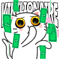 Cat Kitty GIF by KIKI