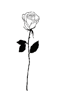 rose love Sticker by PS sharing ideas