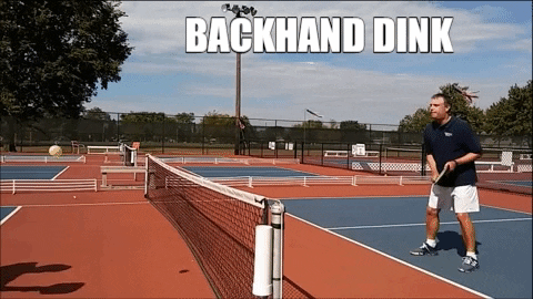 pickleballmax giphygifmaker GIF