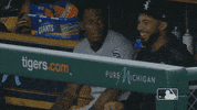 Major League Baseball Sport GIF by MLB