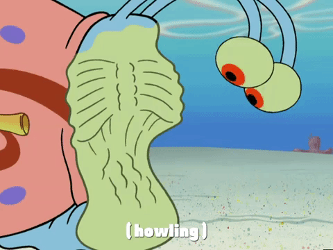 season 4 episode 3 GIF by SpongeBob SquarePants