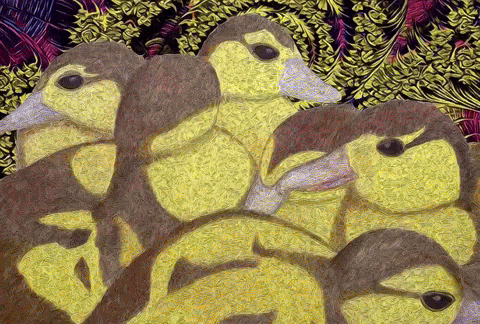 Duck Birds GIF by The LSD Hotel