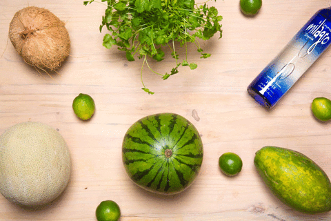 Fun Drinks GIF by Milagro Tequila