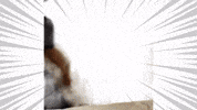 Noi Numberi GIF