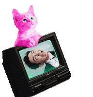 Brian Strgif Sticker by STR Network