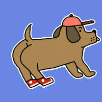 dog puppy GIF by nullbody