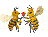 camphollow love valentine camphollow beelove Sticker