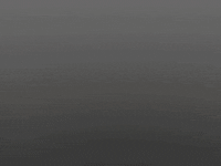 cats GIF by Martin Onassis