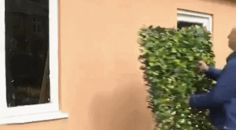 alea28 giphygifmaker GIF