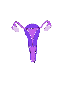 leve_livet dick vagina equal ovaries Sticker