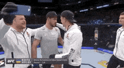 ufc sports sport ufc mma GIF