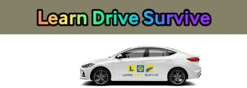 learndrivesurvive giphygifmaker giphyattribution drivinglessonsinbelmont drivertrainersinargenton GIF