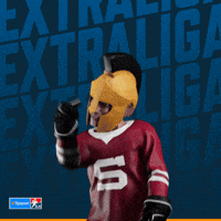 Hockey Spa GIF by Tipsport extraliga