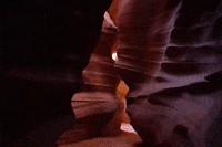 arizona GIF