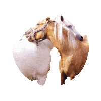 best friend STICKER by imoji