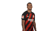 Come Here Eintracht Frankfurt Sticker by Bundesliga