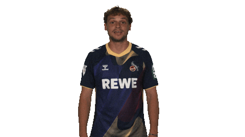 Vbl Hello Sticker by Bundesliga