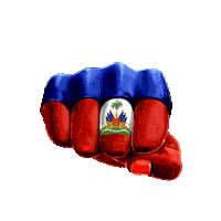 DJSir-D dj fist haiti one love Sticker