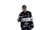 Hockey Power Sticker by Les Ducs d'Angers