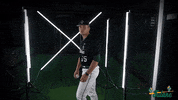Tulane Rollwave GIF by GreenWave