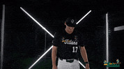 Tulane Rollwave GIF by GreenWave