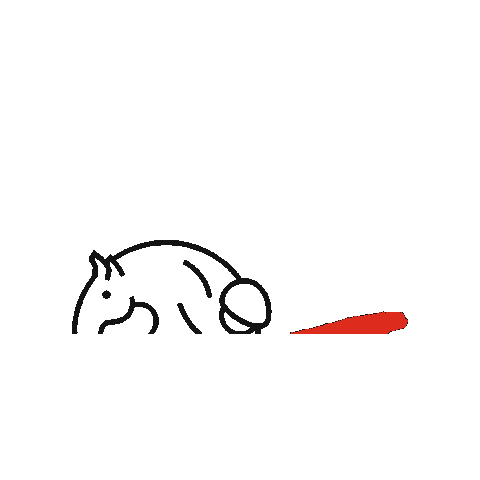 HorseballEsp giphygifmaker horseball horseballspain fihb Sticker