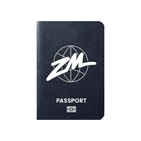 Travel World Sticker by ZM