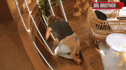 Big Brother Crawl GIF by Big Brother Australia