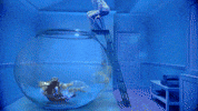 Lover Fishbowl GIF by Taylor Swift